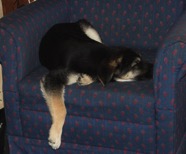 DSCF8779.JPG