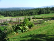 DSCF9400.JPG