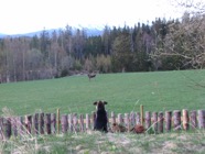 DSCF9169.JPG
