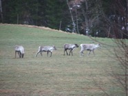 DSCF7699.JPG