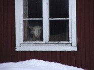 DSCF7681.JPG